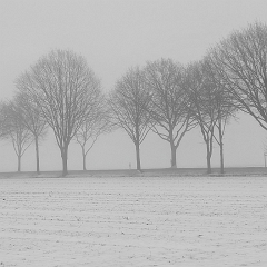 WhatsApp Image 2026-02-08 at 15.41.53_6